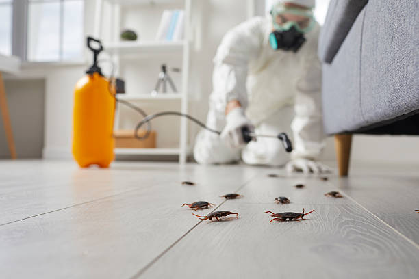 Commercial Kitchen Cockroach Control in Fort Loramie